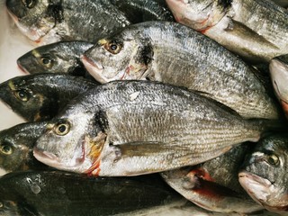 Dorada, fresh fish, sale in the store. Diet food. Mediterranean food