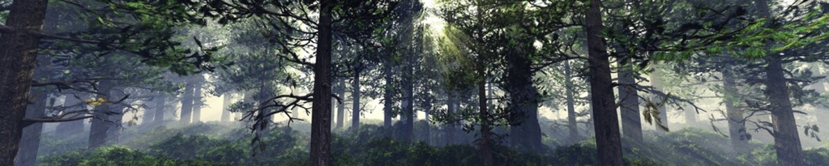 Trees in the fog. The smoke in the forest in the morning. A misty morning among the trees. 3D rendering