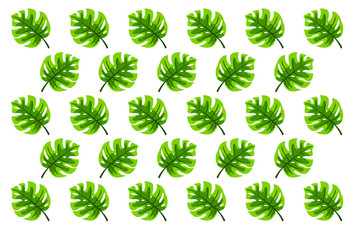 Tropical green leaves pattern. Trendy print for summer. Usable for wallpaper, banner, poster, postcard. 