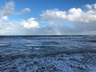 Louisiana cypress swamp and river