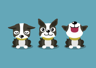 Cartoon character boston terrier dog poses for design.