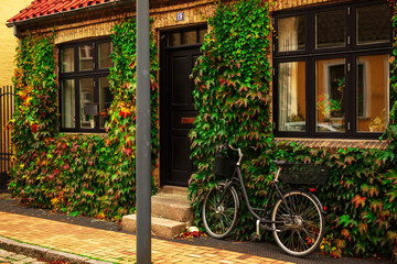 Fototapeta na wymiar Beautiful house with green garden and vintage bicycle near the entrance in Europe.