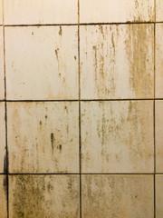 Water stains on tiles