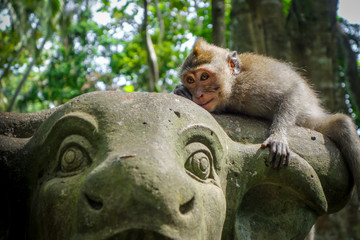 Monkey on a cow statue in the Monkey Forest, Ubud, Bali, Indonesia