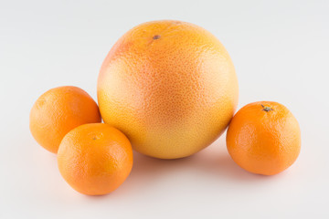 fresh juicy orange and mandarin isolated