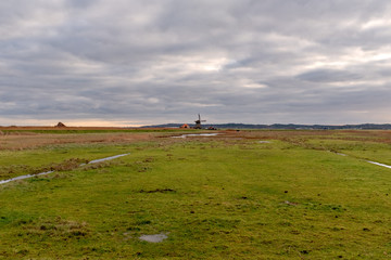 Fototapeta na wymiar Harger and Pettemer polder with a windmill on the horizon under a cloudy sky