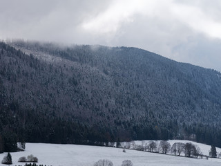 View of mountain with pine trees and valley covered with frost and snow. 