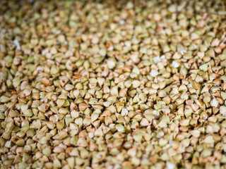 Close-up of agricultural seed. Living Natural Nutrition Supplements
