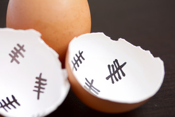 Chopped eggshell. It marks the days past. Nearby a whole egg. Chicken hatching.