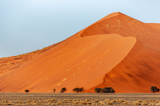 The Dune 45 In Namibia, Africa