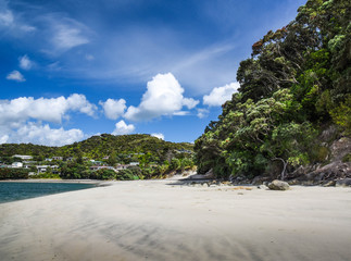 beaches of new zealand