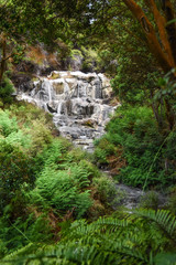 landscapes of new zealand