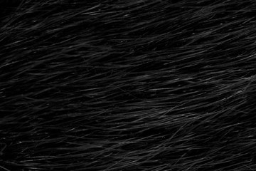 Black natural animal fur close up. dark wool