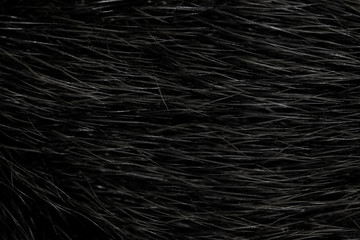 Black natural animal fur close up. dark wool
