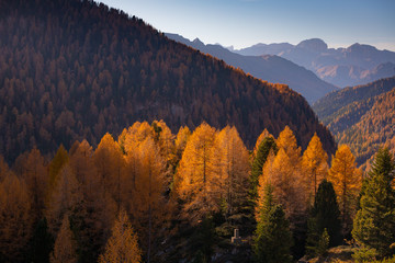 Alps in Autumn Yellow leaves