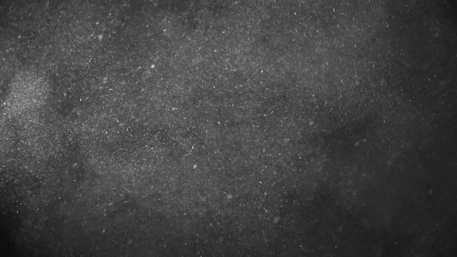 Natural Organic Dust Particles Floating On Black Background. Dynamic Dust Particles Randomly Float In Space With Fast And Slow Motion. Shimmering Glittering White Particles With Bokeh In The Air.