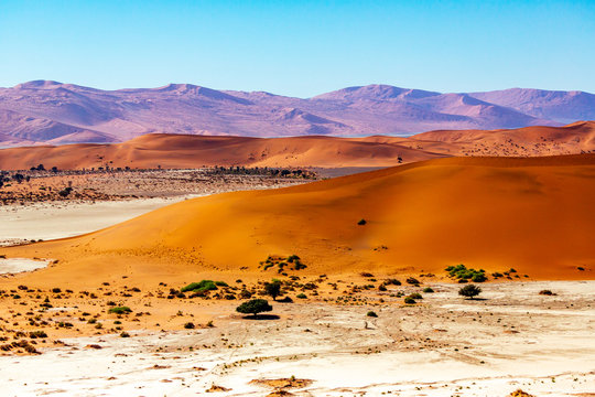 Deadvlei in Namib-Naukluft national park Sossusvlei in Namibia, Africa