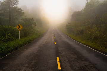 Road through a rain forest