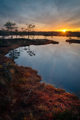 Last rays of setting sun reaching the colorful bank of a bog pond 