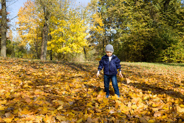 boy walks in the autumn Park