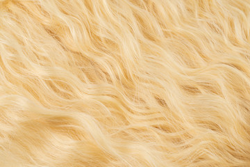 Blond wavy hair pattern. Top view.
