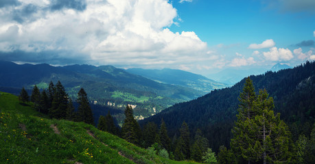 Panoramic view of idyllic mountain scenery in the Alps with fresh green meadows in bloom on a beautiful sunny day in springtime. Location place Swiss alps, Europe. Beauty world.