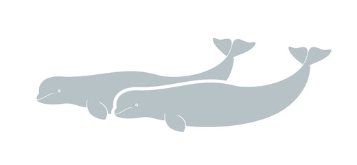 Beluga logo. Isolated beluga on white background. 