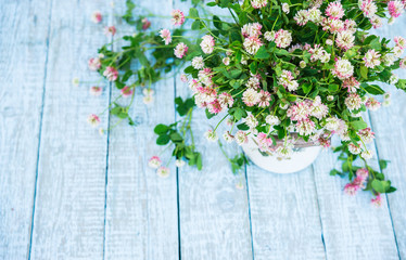 Trifolium repens. White Clover Flowers. Beautiful purple Wildflower bouquet. Medicinal plants.