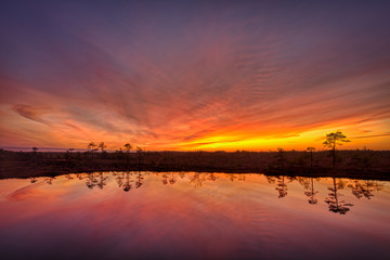Orange twilight sky reflecting from a bog pond