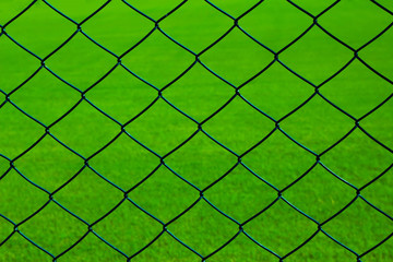Green grass and wire netting texture, background.