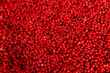 Pink (red) pepper peas top view, background.