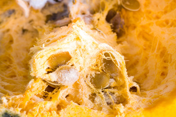 large ripe orange pumpkin