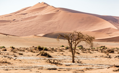 Fototapeta na wymiar Amazing landscape of sossusvlei in Namibia, Africa