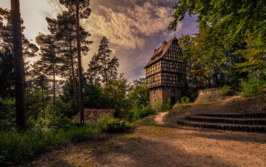Fototapete bei efototapeten.de bestellen   