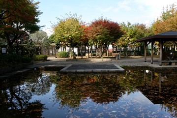 Obraz premium fountain in park