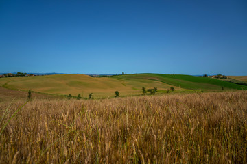 Beautiful landscape in Tuscany, Italy. Sunny fields. Agricultural area with wheat fields. Vintage tone filter effect with noise and grain.
