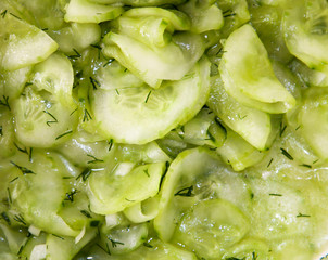 köstlicher Gurkensalat mit Dill und anderen Kräutern