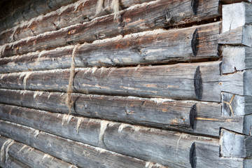 Not forced grey background old log