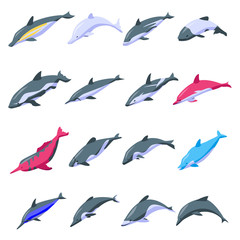 Dolphin icons set. Isometric set of dolphin vector icons for web design isolated on white background