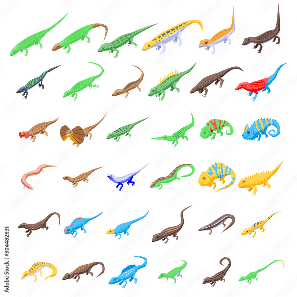 Poster lizard icons set. isometric set of lizard vector icons for web design isolated on white background
