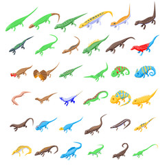 Lizard icons set. Isometric set of lizard vector icons for web design isolated on white background