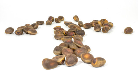 Pine nut on a white background