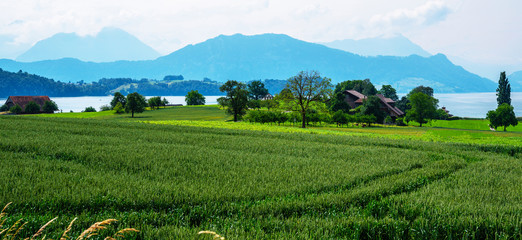 Switzerland village. Idyllic summer landscape in the Swiss with fresh green fields and clouds capped mountain tops in the background.