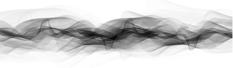 Panorama black and white Sound Wave background,Earthquake wave diagram concept; design for education and science; Vector Illustration.