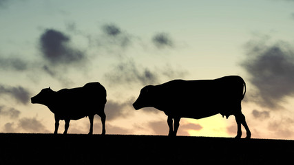 Cow at Sunset 3D Rendering