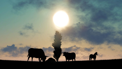 Fototapeta premium Cow at Sunset 3D Rendering