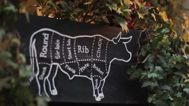 steak meat parts of a bull. restaurant barbecue grill showcase cuisine.beef diagram