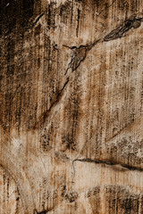 Wooden texture plan in the warehouse