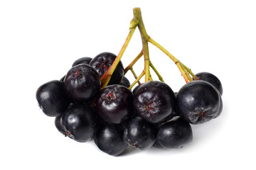 Chokeberry isolated on white background. Black aronia