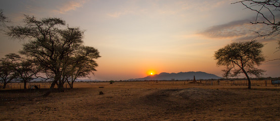 Weites Grasland im Sonnenuntergang mit Termitenhügel in Namibia, Afrika